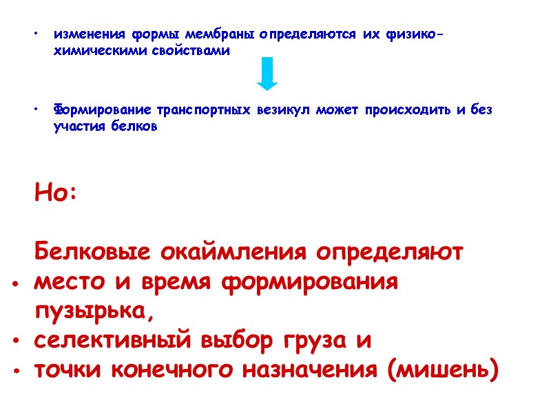 изменения формы мембраны определяются их физико-химическими свойствами   Формирование транспортных везикул может происходить